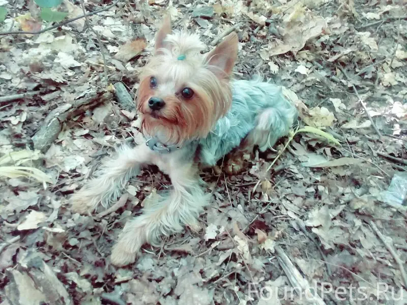 Добрый день! SOS, помогите най...