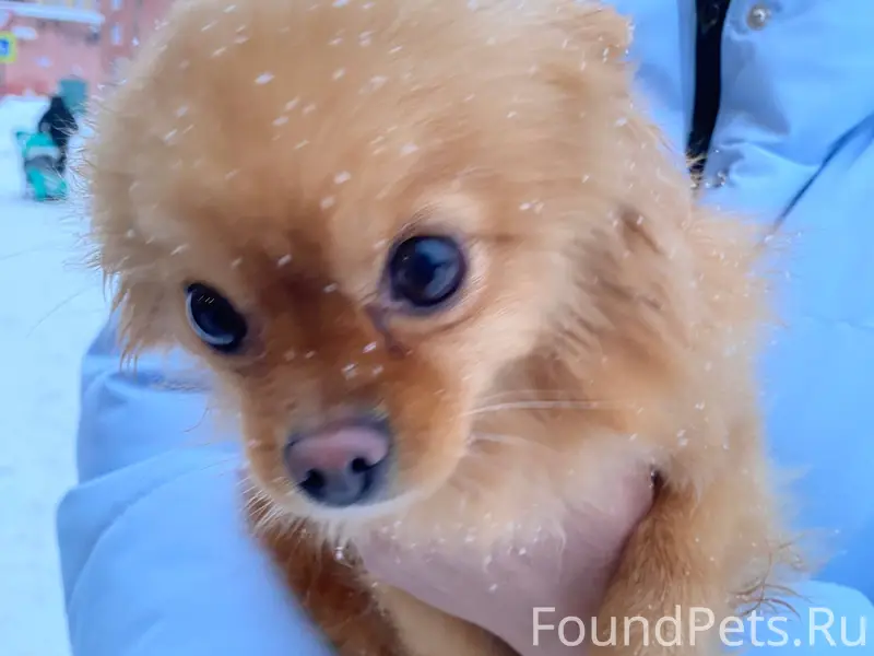 На улице Бугрова д.7, школа...