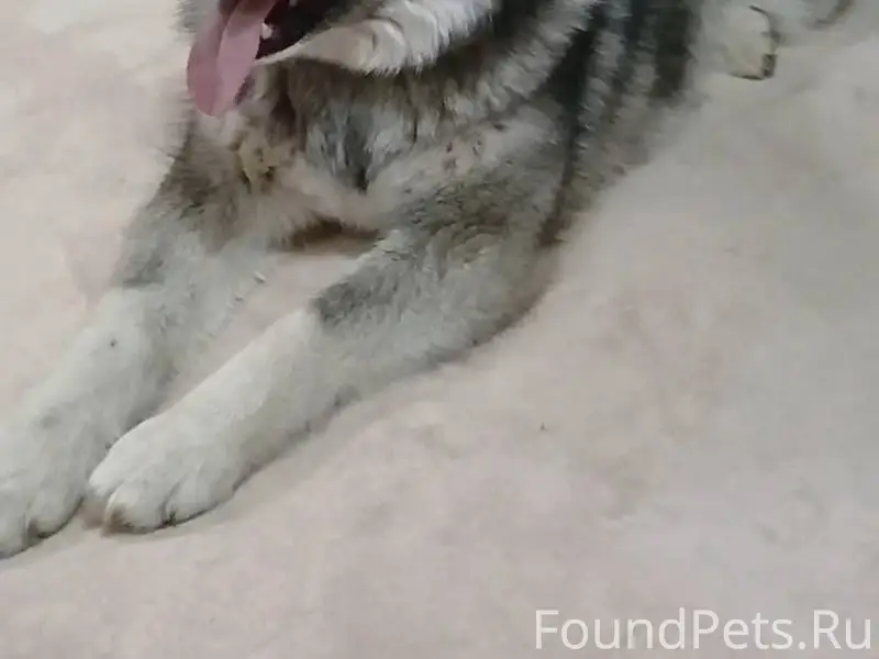 🆘🆘🆘 СРОЧНО 🆘🆘🆘 В РАЙОНЕ ЮЖНОГО...