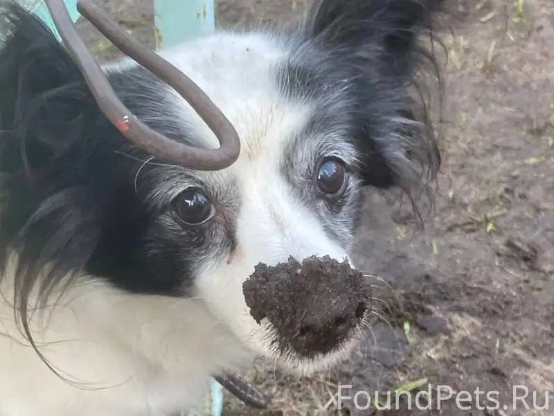 ПОИСК https://vk.ru/id22172476...