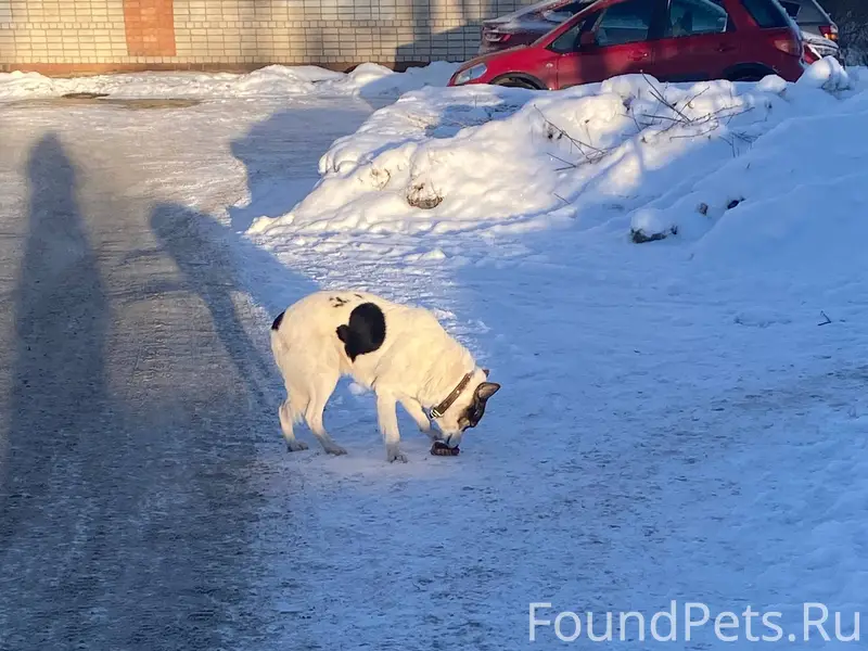 ЗАМЕЧЕН https://vk.ru/e.simil....