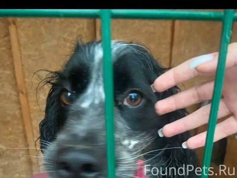 Здравствуйте! У моей подруги п...