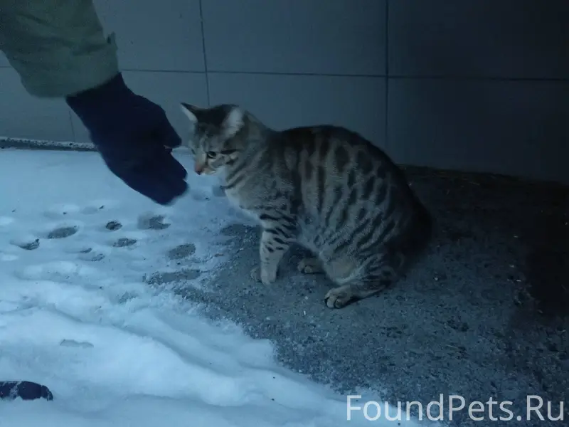 Улица Карасьевская между домам...