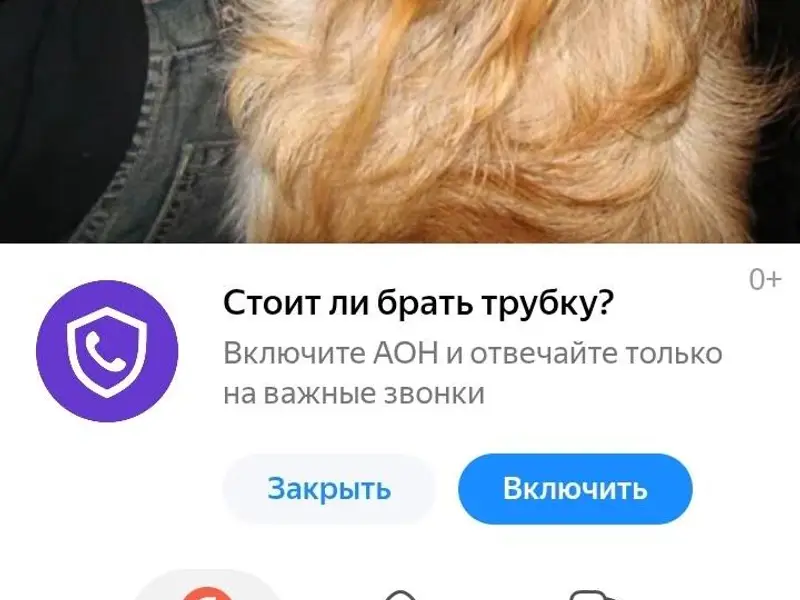 Пропала собака , пекинес девоч...