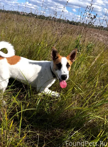 Уважаемые жители! Обращаюсь с ...