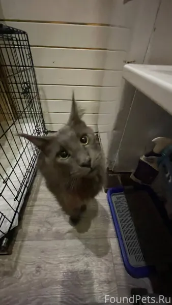 🆘🆘🆘🆘🆘🆘🆘🆘🆘🆘🆘🆘🆘🆘🆘🆘🆘 ⛔️⛔️⛔️ РЕПОС...