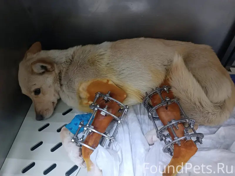 Друзья! Нужна помощь человеку ...