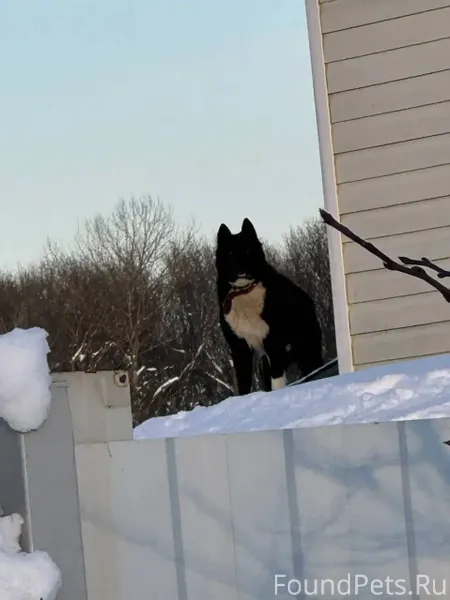 🆘🆘🆘Очень важно🆘🆘🆘 По Тульской ...