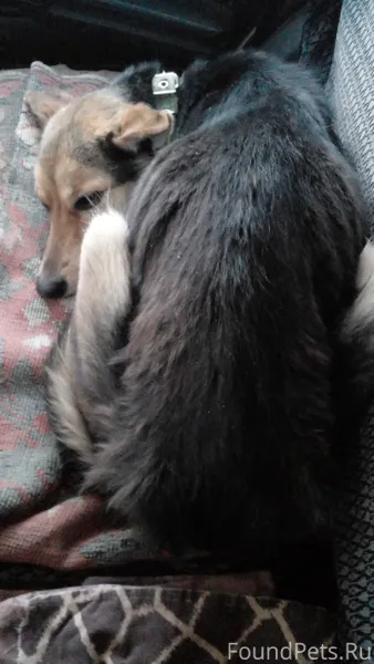 Уважаемые и неравнодушные друз...