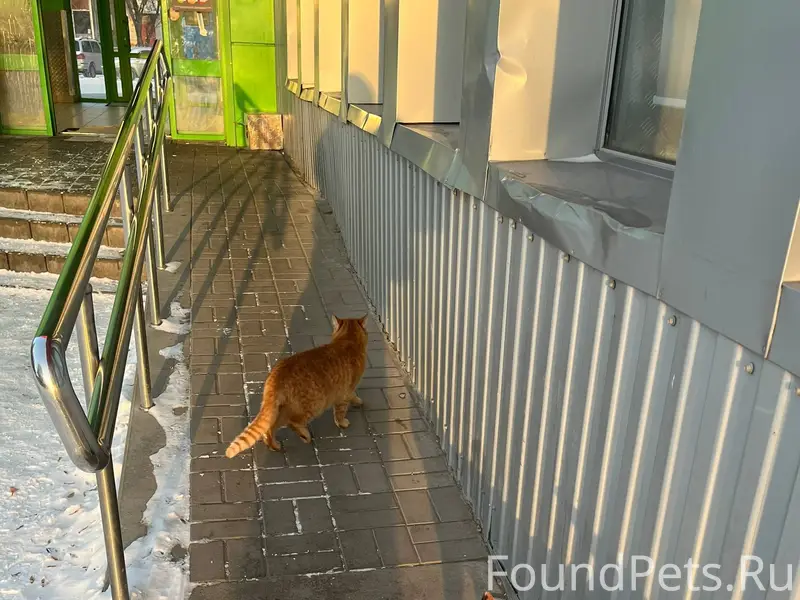 На западном около пятерочки гу...