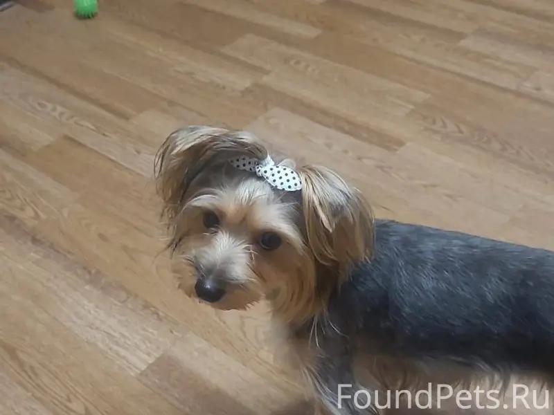 27 ЯНВАРЯ после 18ч. в районе....