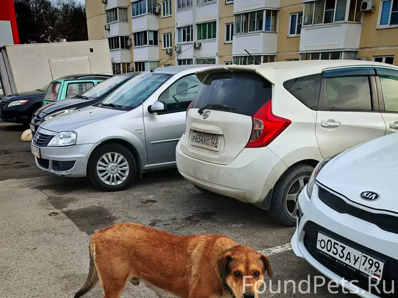 ‼️Друзья, сделайте пожалуйста ...