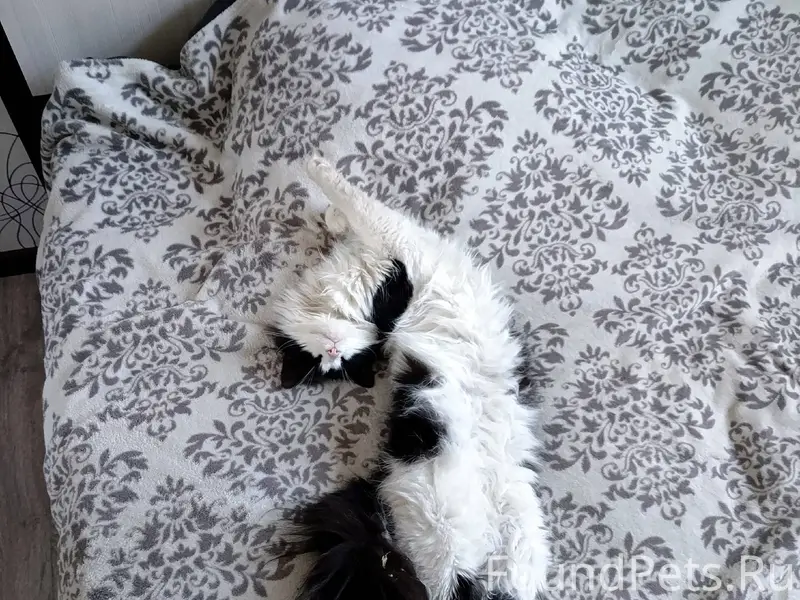 Админ пропусти🙏🙏🙏. В районе 5 ...