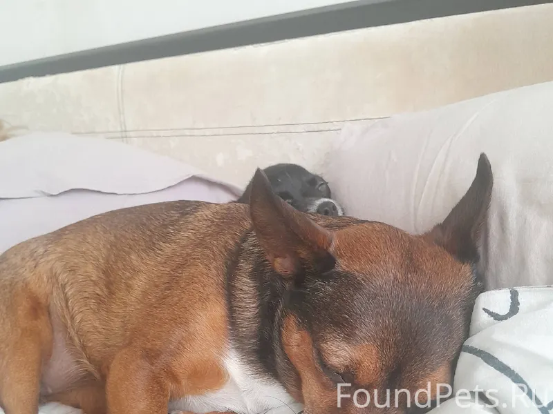 Здравствуйте мы с Краснодара п...