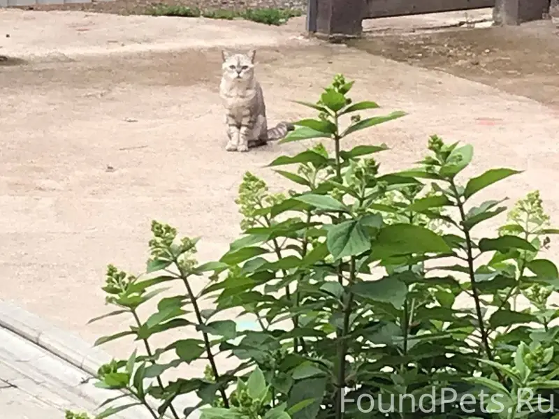 Добрый день 🌞 летом в наше...