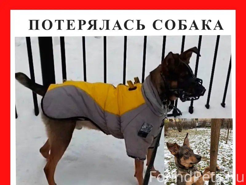 Добрый день У нас потерялась с...