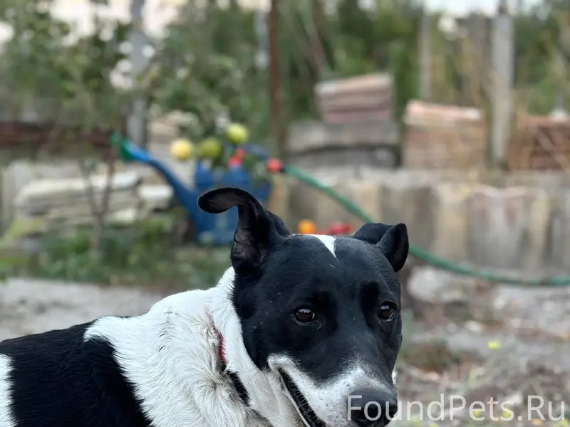 Помогите, пожалуйста, найти со...