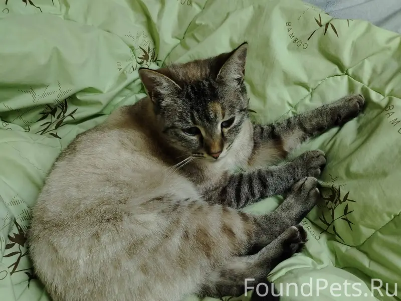 27.01.2026 около 20.00...