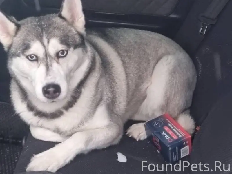 В селе Спасском на площади в.....