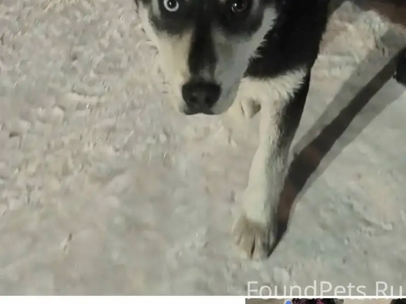 Сегодня, 29.01.26 в районе...