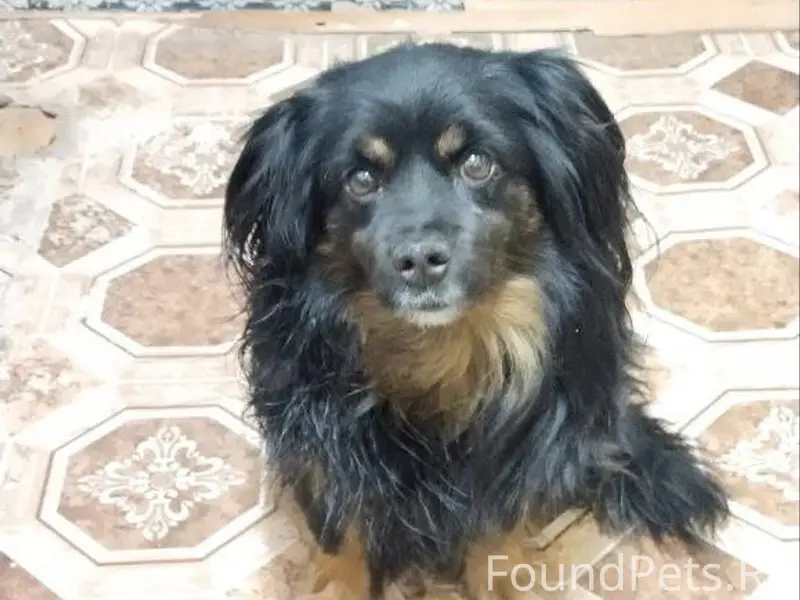 Прибился вот такой очаровашка,...