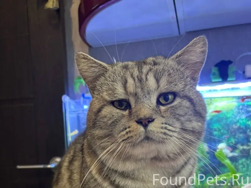 ‼️Внимание неравнодушным‼️Дере...