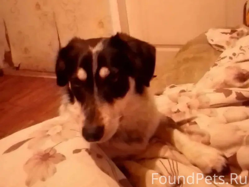 С А донская 40 лет победы...