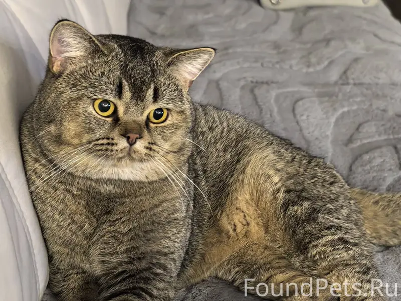 МЦЕНСК!!!!! В районе Белого ка...