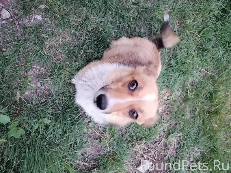 Здравствуйте кто нибудь вылили...