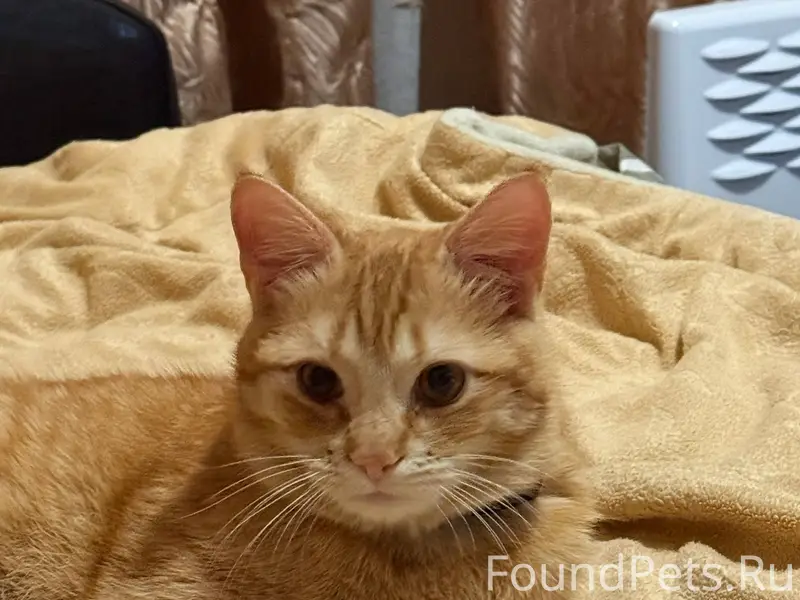 Жители Туапсе и Туапсинского р...