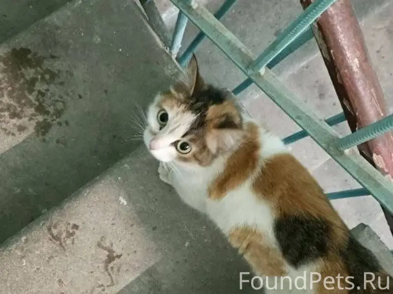 ‼️‼️‼️На Мира, 75 в подъезде н...