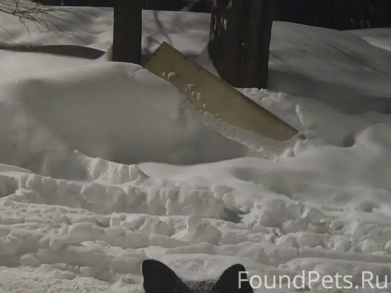 Добрый вечер 2 дня назад ,на.....