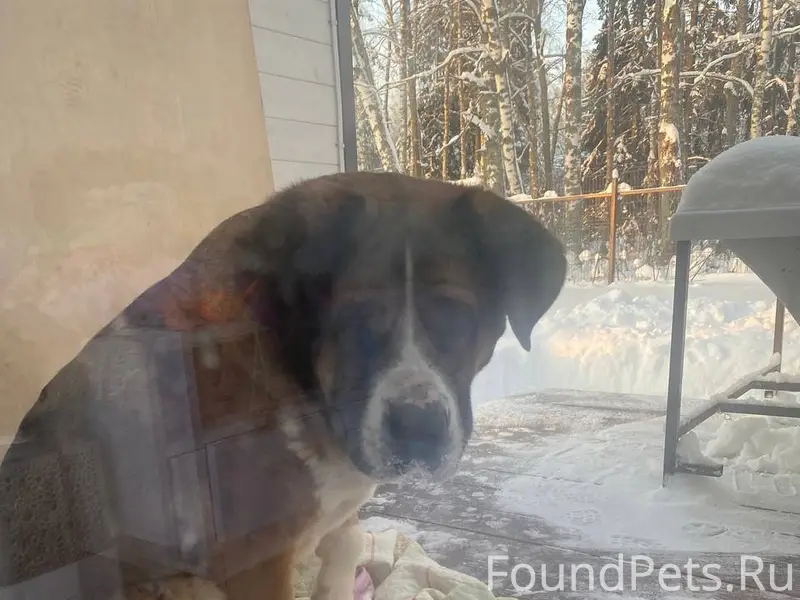 Помогаю информационно ♦️МО, Ис...