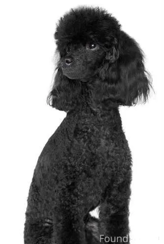 В ноябре прошлого года была на...