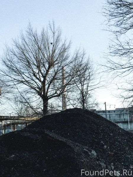 Краснодарская зима ❄️ В поиска...