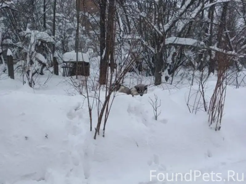 Кашира! Московская область! Оч...