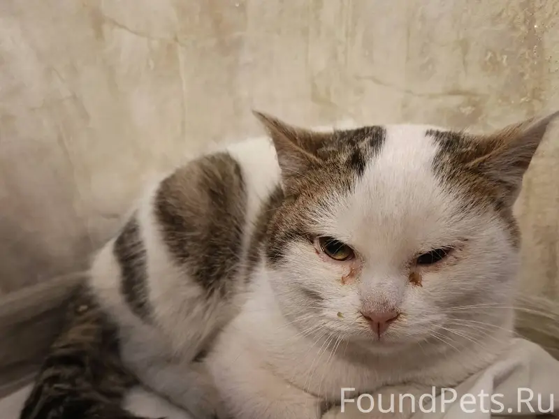 Вот такой подснежник оттаивал ...