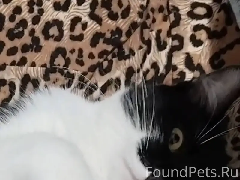 Добрый вечер, у меня пропал ко...