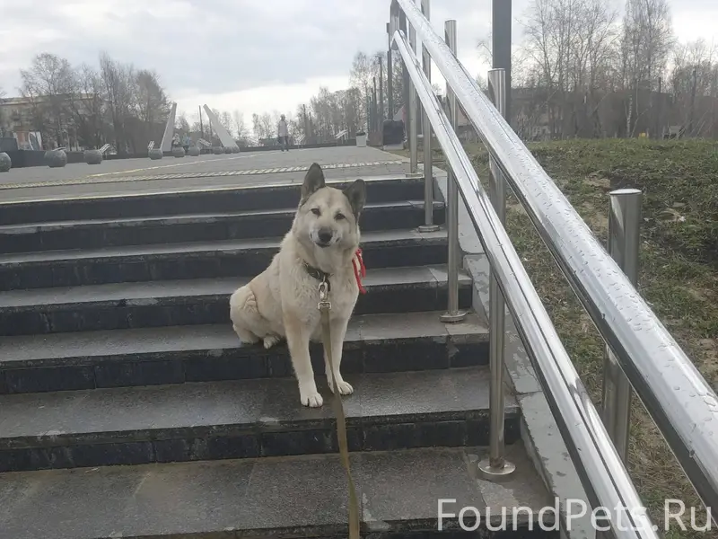 ВНИМАНИЕ ⚠️ РОЗЫСК Вчера, в ра...