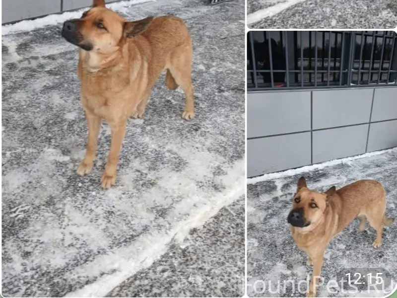 Помогаю информационно ! Нужна ...