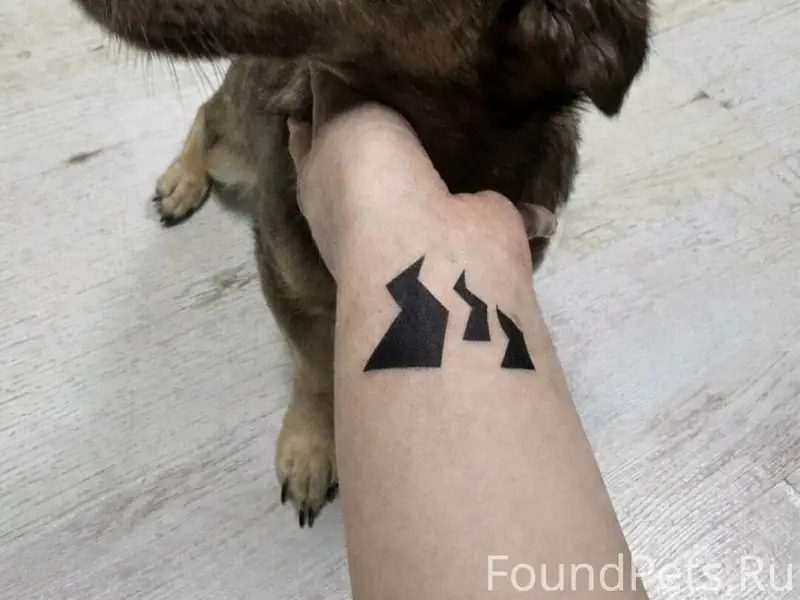 Пожалуйста, помогите найти щен...