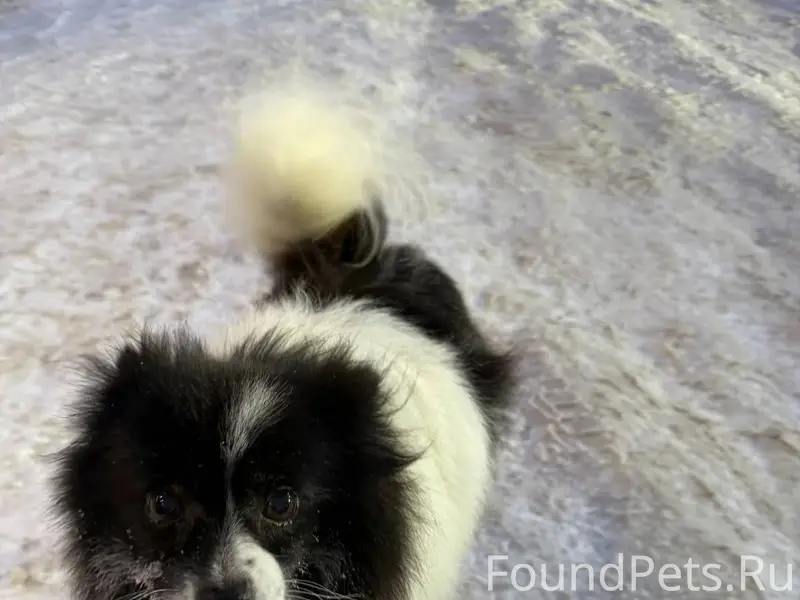 Кто знает Раису Куземову (Барт...