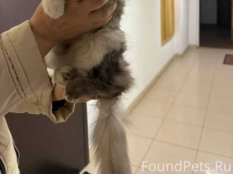 Помогаем информационно📣 Найден...