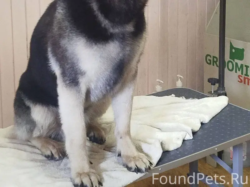 1.01 вечером во время фейервер...