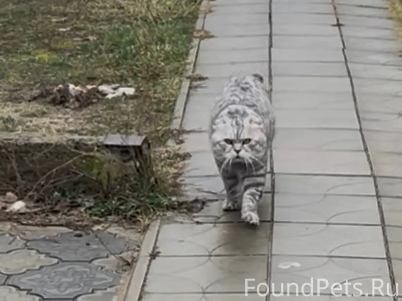 Помогите пожалуйста найти . Пр...