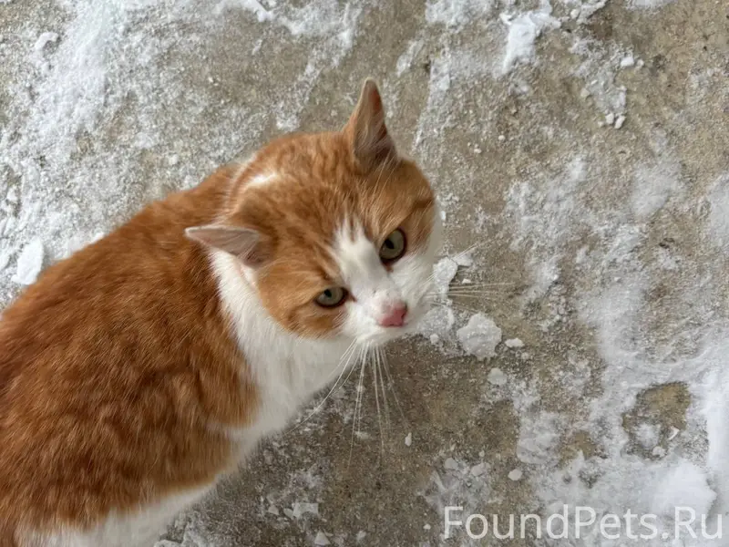 Здравствуйте! Не знаю, куда пи...