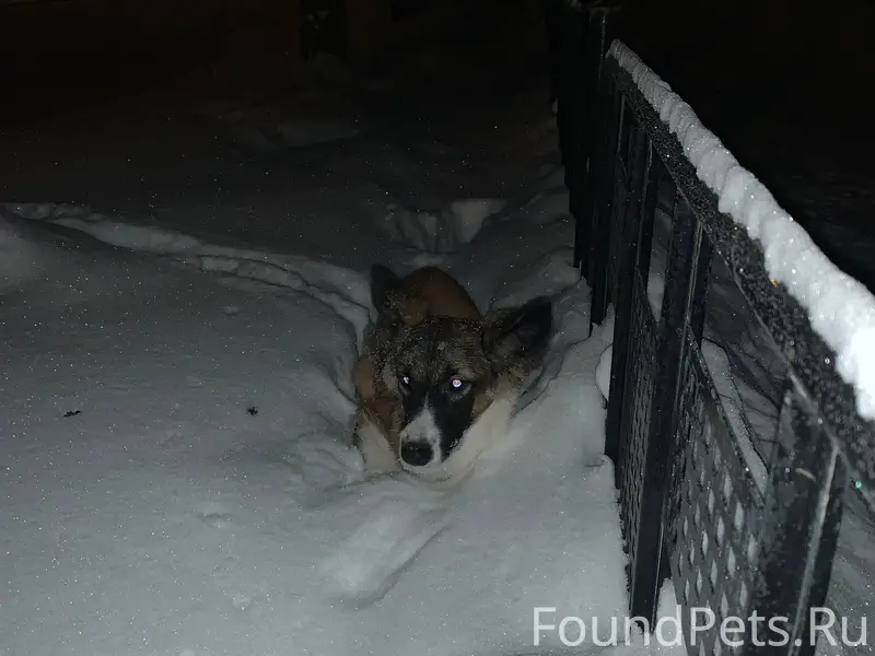 На улице Горького , напротив Д...