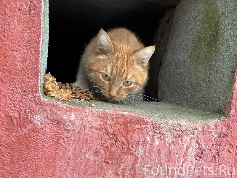 Срочно ‼️помогите найдитесь ст...