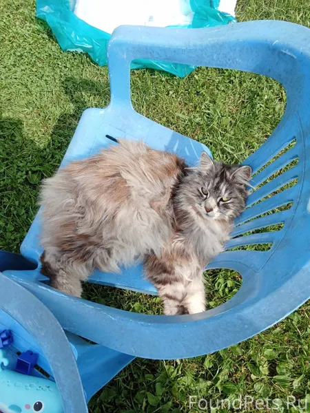 Всем добрый день! Вечером 31.1...