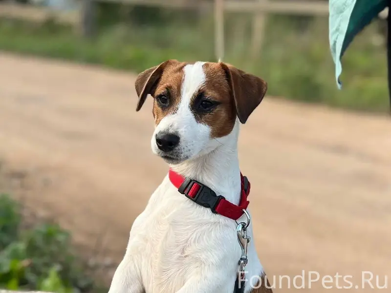 03.01.26 примерно в 20...